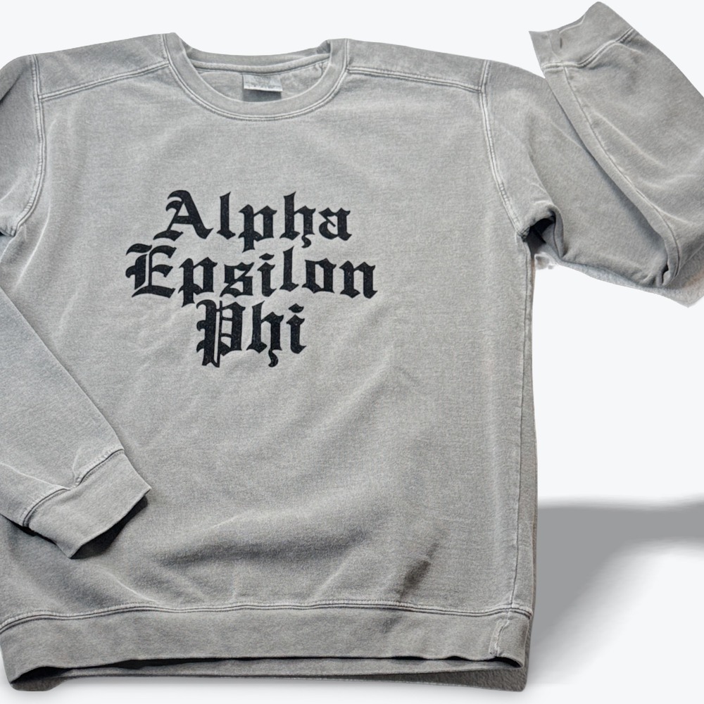 Alpha Epsilon Phi‎ Sorority Sweatshirt Gray Crewneck Women Small